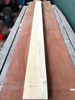 Holly 5/4 Lumber -  6-3/8" x 92-1/2"